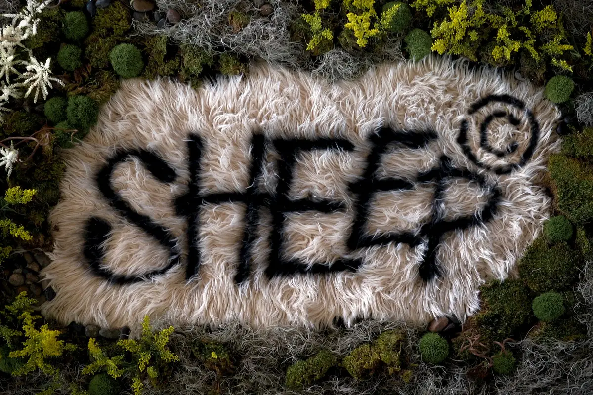The Sheep wordmark painted on a sheepskin surrounded by moss and dried flowers